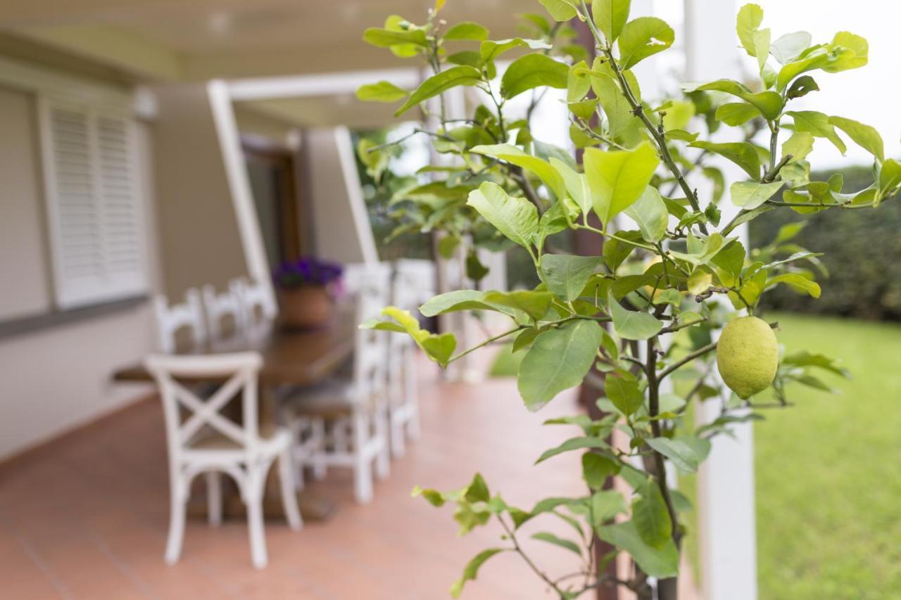 B&B Cava Rossa Monsummano Terme Екстериор снимка